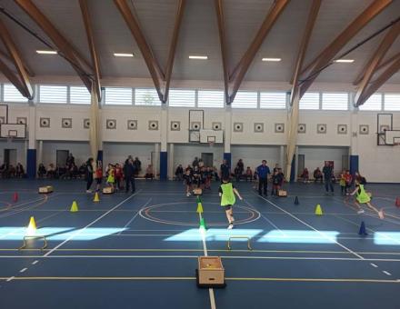 Kosárpalánta 3. forduló, Nyírpazony