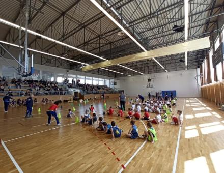 Kosárpalánta III. forduló 2022.04.30.