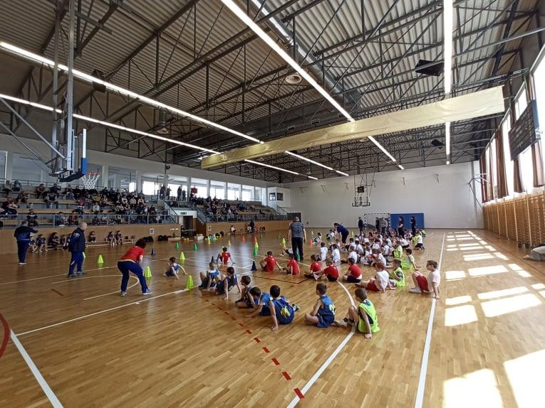 Kosárpalánta III. forduló 2022.04.30.