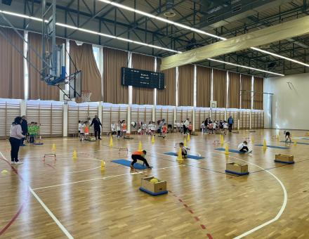 Kosárpalánta 3. forduló